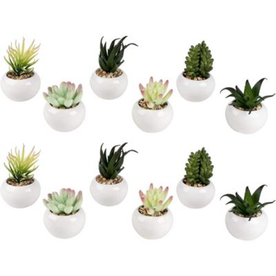 Artificial Succulents Plants Set of 31 Miniature Grass 