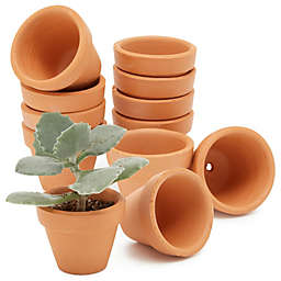 Juvale Mini Terracotta Clay Flower Pots 1.5 inch with Drainage Holes for Plants, Succulent, Cactus (10 Pack, Small)