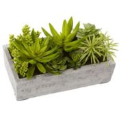 Nearly Natural 12.75" Artificial Succulent Garden in Decorative Planter