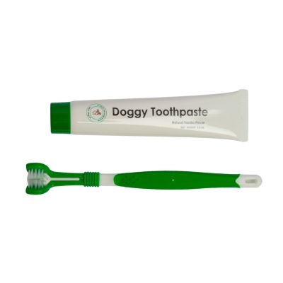 American Pet Supplies Triple Headed Dog Tooth Brush with All-Natural Toothpaste