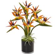 Nearly Natural 2' Artificial Bird of Paradise Silk Arrangement in Black Glossy Cylinder