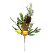 Select Artificials 19" Autumn Harvest Asheville Fruit Pine and Lemon Artificial Thanksgiving Spray