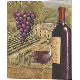 Metaverse Art French Vineyard IV by Daphne Brissonnet 16-Inch x 20-Inch Canvas Wall Art