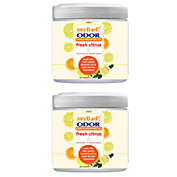 my Bad! Odor Eliminator Gel 15 oz - Fresh Citrus (2 PACK) Air Freshener - Eliminates Odors in Bathroom, Pet Area, Closets