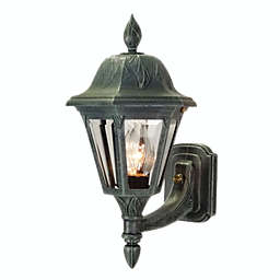 Special Lite Products Floral Outdoor Decorative F-1947-BLK-BV Small Bottom Mount Light - Short Tail