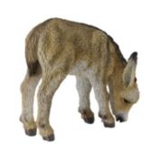 CollectA Donkey Foal Grazing Figure 88408