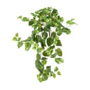 Nearly Natural Set of 3 Pothos Hanging Bush Artificial Plants 40"