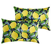 Outdoor Living and Style Set of 2 Yellow Lemons Indoor and Outdoor Pillow, 20"