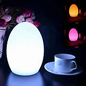 Infinity Merch Egg Lamp LED Mood Night Light Color Changing Multicolor