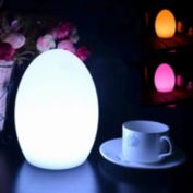 Infinity Merch Egg Lamp LED Mood Night Light Color Changing Multicolor