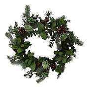Tremont Floral Green Iced Succulent Pine and Pinecone Wreath 16 Inch