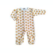 Benben Oranges fruit footie