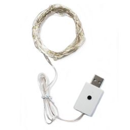 Perfect Holiday Modern Decorative 100 LED Fairy Light with USB Plug in Silver Copper - White