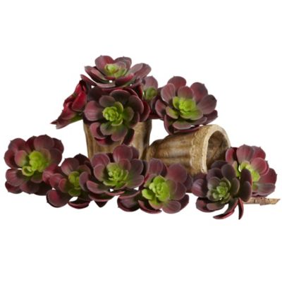 Nearly Natural 5 Echeveria Succulent Plant (Set of 12), Burgundy