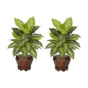 Nearly Natural Dieffenbachia with Wood Vase Silk Plant (Set of 2), Variegated