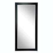 BrandtWorks Silver Accent Black Floor Mirror 32" x 71"