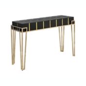 Camden Isle Tuxedo 47.25 in. Black Rectangle Glass Console Table