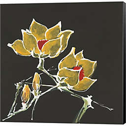 Metaverse Art Magnolia on Black II by Chris Paschke 12-Inch x 12-Inch Canvas Wall Art