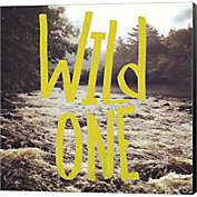 Great Art Now Wild One River by Kimberly Glover 24-Inch x 24-Inch Canvas Wall Art