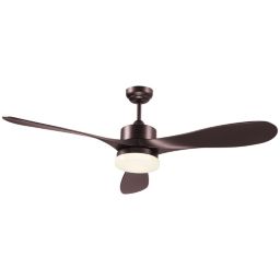 Ceiling Fan With Light