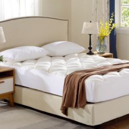 Cheer Collection Plush Bamboo Mattress Topper - Assorted Sizes