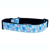 Mirage Pet Products Butterfly Nylon Ribbon 3/8" Wide Dog Collar, Blue/Extra Small