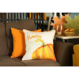 HomeRoots 2-Pack Fall Season Pumpkin Pie Throw Pillow Cover in Multicolor - 18