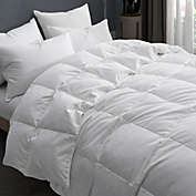 Unikome All Season Ultra Soft White Goose Feather and White Goose Down Comforter in Off White, King