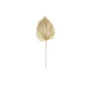Melrose Home Decorative Fan Palm Leaf (Set of 6) 42"H Natural Palm