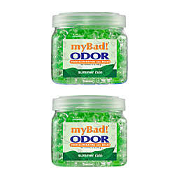 My Bad! Odor Eliminator Gel Beads 12 Oz - Summer Rain (2 Pack) Air Freshener - Eliminates Odors In Bathroom, Pet Area, Closets