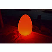 Contemporary Home Living 17" Alpha Remote Controlled Portable LED Illuminated Color Changing Egg