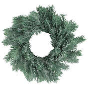 Northlight Traditional Frosted Green Pine Decorative Christmas Wreath - 12-Inch, Unlit
