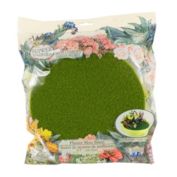 Flower Fairies Secret Garden Moss Planter Insert, Green, 9.5"