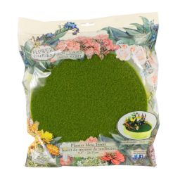 Flower Fairies Secret Garden Moss Planter Insert, Green, 9.5\