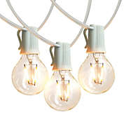 Ambience Pro LED String Lights - G40 Bulb, 26ft, White