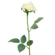 Allstate 22" Long Stem Blooming Vanilla Rose Artificial Floral Silk Pick