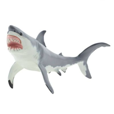 coolest shark toys