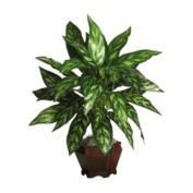 Nearly Natural Silver King with Wood Vase Silk Plant, Green