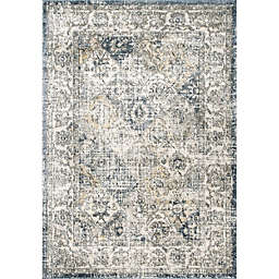 nuLOOM Gia Distressed Transitional Area Rug
