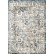 nuLOOM Gia Distressed Transitional Area Rug
