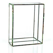 CC Home Furnishings 10" Clear and Brown Contemporary Terrarium Rectangular Glass Tabletop Decor