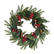 Contemporary Home Living Green and Red Artificial Christmas Holiday Berry Wreath, 24-Inch, Unlit
