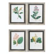 Urban Trends Collection Wood Rectangle Wall Art on Frame with Glass, "Botanical Plant Theme" Printed in Colored and Metal Back Hangers Assortment of Four Painted Finish Beige