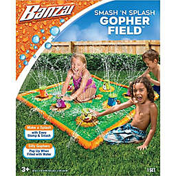 Banzai - Smash 'N Splash Gopher field