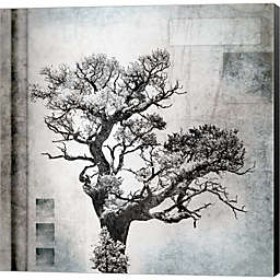 Metaverse Art August Tree 4 by LightBoxJournal 24-Inch x 24-Inch Canvas Wall Art