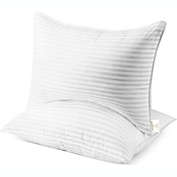 Dr Pillow Superior Comfort Hotel Luxury Pillow