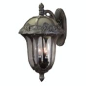 Special Lite Products Rose Garden F-3711-SW-SG Large Top Mount Light with Seedy Glass