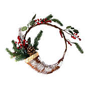 Northlight Frosted Cornucopia Artificial Christmas Wreath - 14-Inch, Unlit