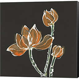 Metaverse Art Lotus on Black IV by Chris Paschke 12-Inch x 12-Inch Canvas Wall Art