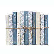 Booth & Williams Cerulean Cream Mixed Media Decorative Books, One Foot Bundle of Real, Shelf-Ready Books